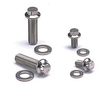 ARP - ARP 430-1601 ARP Chevy SS 12pt Fuel Pump Bolt Kit
