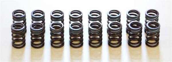 HKS - HKS 22001-AN002 HKS 91-00 Infiniti G20 SR20DET Outer Valve Spring Set