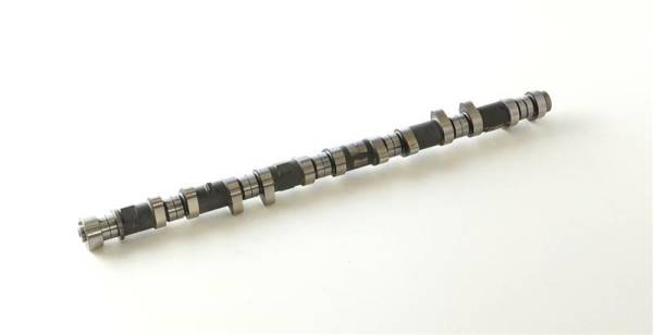 HKS - HKS 2202-RN137 HKS CAMSHAFT BNR34 RB26DETT 264 EX