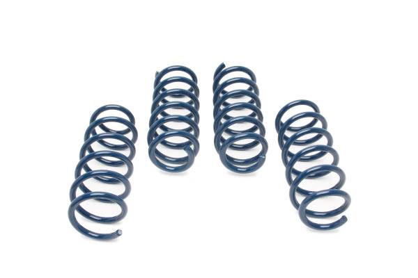 Dinan - GFBV D100-0932 Dinan Performance Spring Set - 2018-2023 BMW M550i xDrive - Fits 2018-2023 BMW M550i xDrive