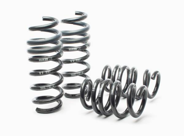 H&R - H&R Special Springs LP 29058-1 H&R 08-15 Audi R8/R8 Cabrio V8/V10 Sport Spring