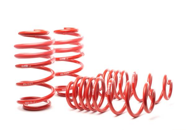 H&R - H&R Special Springs LP 29059-2 H&R 13-15 Audi RS5 Coupe (AWD) Sport Spring