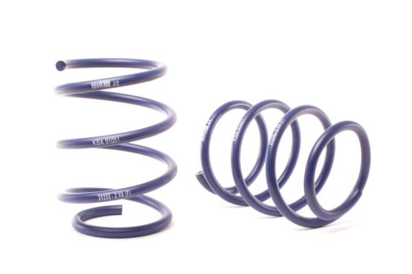 H&R - H&R Special Springs LP 29255-4 H&R 04-06 BMW 545i E60 Sport Spring (w/Self Leveling)