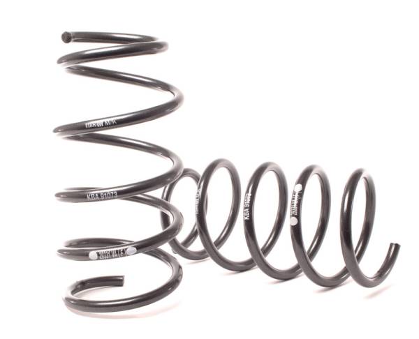 H&R - H&R Special Springs LP 29331-5 H&R 03-06 BMW 760i/760Li E65 Sport Spring (w/ Self Leveling & EDC)