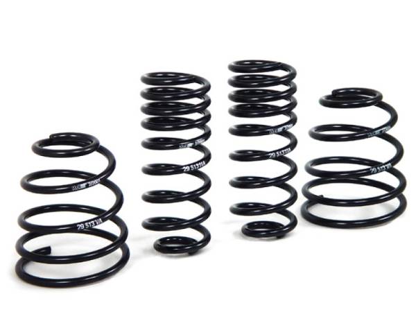 H&R - H&R Special Springs LP 29513 H&R 98-04 Porsche 911/996 C2 (2WD) Coupe Sport Spring