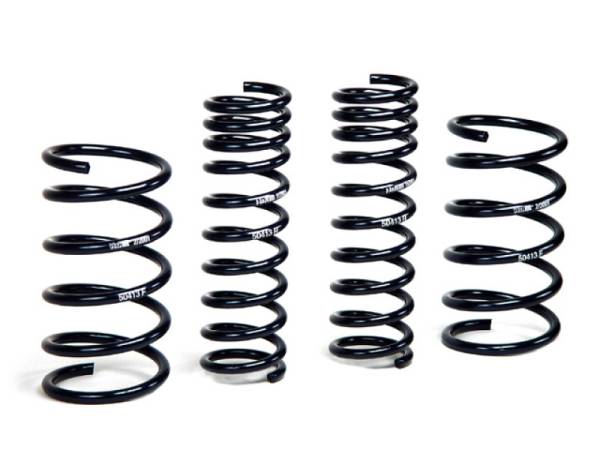 H&R - H&R Special Springs LP 50413 H&R 93-95 BMW 530i/540i E34 Sport Spring (w/o Self-Leveling/Non Touring)