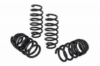 Eibach Springs - Eibach Pro-Kit for 17-19 Tesla 3 Long Range (AWD) - Image 3