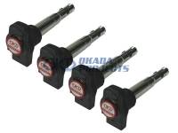 Okada/ Ignition Projects Coil Packs