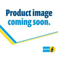 Bilstein B4 OE Replacement - Suspension Strut Assembly - 22-317537