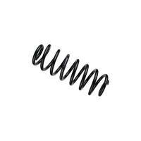 E39 Sedan (1996-2003) - Suspension - Lowering Springs