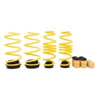 ST Suspensions OEM Quality Ride Height Adjustable Lowering Springs for stock dampers - 273800CJ