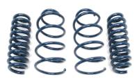 Dinan Performance Coil Spring Set