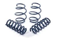 Dinan Performance Coil Spring Set