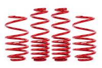 APR - APR Roll-Control Lowering Springs - Image 7