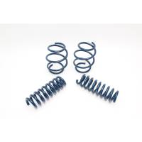 Dinan Performance Coil Spring Set