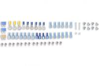 NOS - NOS/Nitrous Oxide System Pro Two-Stage Wet Nitrous System - Image 4