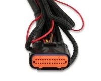 MSD - MSD Complete Main Wiring Harness - 2266 - Image 3