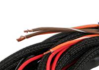 MSD - MSD Complete Main Wiring Harness - 2266 - Image 4