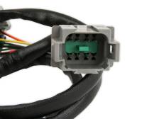 MSD - MSD Sensor 2 Wiring Harness Replacement - 2275 - Image 3