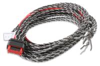 MSD - MSD Ignition Replacement Harness - 80001 - Image 2
