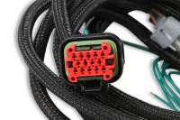 MSD - MSD Ignition Replacement Harness - 80002 - Image 3