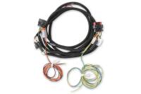 MSD Ignition Replacement Harness - 80003