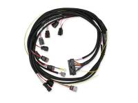 MSD - MSD 6-Hemi Harness - 88863 - Image 2