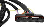 MSD - MSD 6-Hemi Harness - 88863 - Image 5