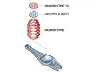 NEUSPEED Spring Riser Pad Kit - Rear - Image 2