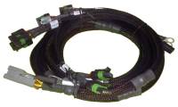 Haltech Big Block/Small Block Ford V8 8 Channel Individual High Output IGN-1A Inductive Coil Harness - HT-130311
