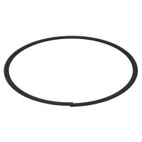 JE Pistons - JE Pistons Oil Rail Support, 3.905 in. Min Bore, 3.934 in. Max Bore, 0.173in. Radial Depth - 3905-173 - Image 1
