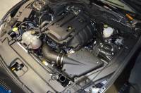 Injen - Injen 15-19 Ford Mustang EcoBoost 2.3L L4 Evolution Intake - EVO9203 - Image 3