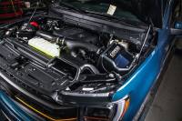 CORSA Performance - Corsa 2021-2024 Ford F150 3.5L Ecoboost Cold Air Intake with MaxFlow 5 Oiled Filter - 49135 - Image 2