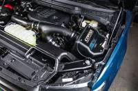 CORSA Performance - Corsa 2021-2024 Ford F150 3.5L Ecoboost Cold Air Intake with Powercore Filter - 491356 - Image 2