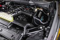 CORSA Performance - Corsa 2021-2024 Ford F150 5.0L V8 Cold Air Intake with Powercore Filter - 491506 - Image 2