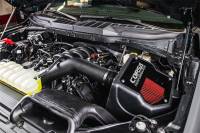 CORSA Performance - Corsa 2021-2024 Ford F150 5.0L V8 Cold Air Intake with DryTech Filter - 49150D - Image 2