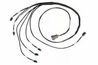 Haltech Elite 2000/2500 Universal Inline 6 Cyl High Output IGN-1A Inductive Coil Ignition Harness - HT-130337