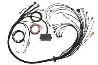 Haltech - Haltech V8 Big/Small Block GM/Ford/Chrysler Elite 2000/2500 Terminated Harness w/EV1 Inj Connectors - HT-141376 - Image 1