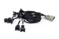 Haltech NEXUS Rebel LS EV1 Injector Sub-Harness - HT-186501