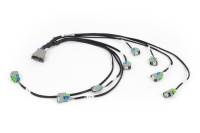 Haltech - Haltech NEXUS Rebel LS EV6 Injector Sub-Harness - HT-186502 - Image 2