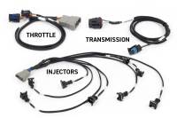 Haltech NEXUS Rebel LS Gen III Cable Throttle/EV1 Injectors/Manual Transmission - HT-220201