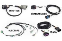 Haltech NEXUS Rebel LS Gen IV 6-Pin DBW Throttle/EV6 Injectors/Manual Transmission - HT-220204