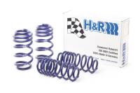 H&R 13-17 Audi SQ5 (AWD) 8R Sport Spring - 29001-3