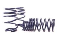 H&R - H&R 05-10 BMW M5 E60 Sport Spring - 50463 - Image 2