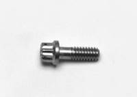 Wilwood Stainless Steel Rotor Bolt - 12pt 1/4-20 X .75 L - 230-8037