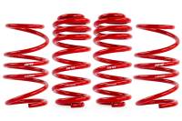 APR - APR Roll-Control Lowering Springs - MK8 Golf R - SUS00017 - Image 1