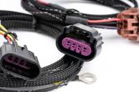 AMS - AMS Performance Universal Flex Fuel CAN Bus Box - ALP.00.07.0002-1 - Image 2