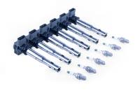 APR - APR Ignition Coil & Spark Plug Kit (3.0T EA837 6-cylinder engines) - GRAY - KT100045 - Image 16