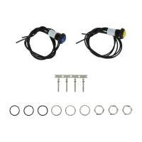 AEM - AEM 30-3610 AEM CD Carbon Dash 2-Button External Button Kit - Image 1