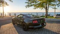 CORSA Performance - CORSA Performance 14337 Corsa 2015-2017 Ford Mustang GT 5.0 3in Cat Back Exhaust Polish Quad Tips (Sport) - Image 5